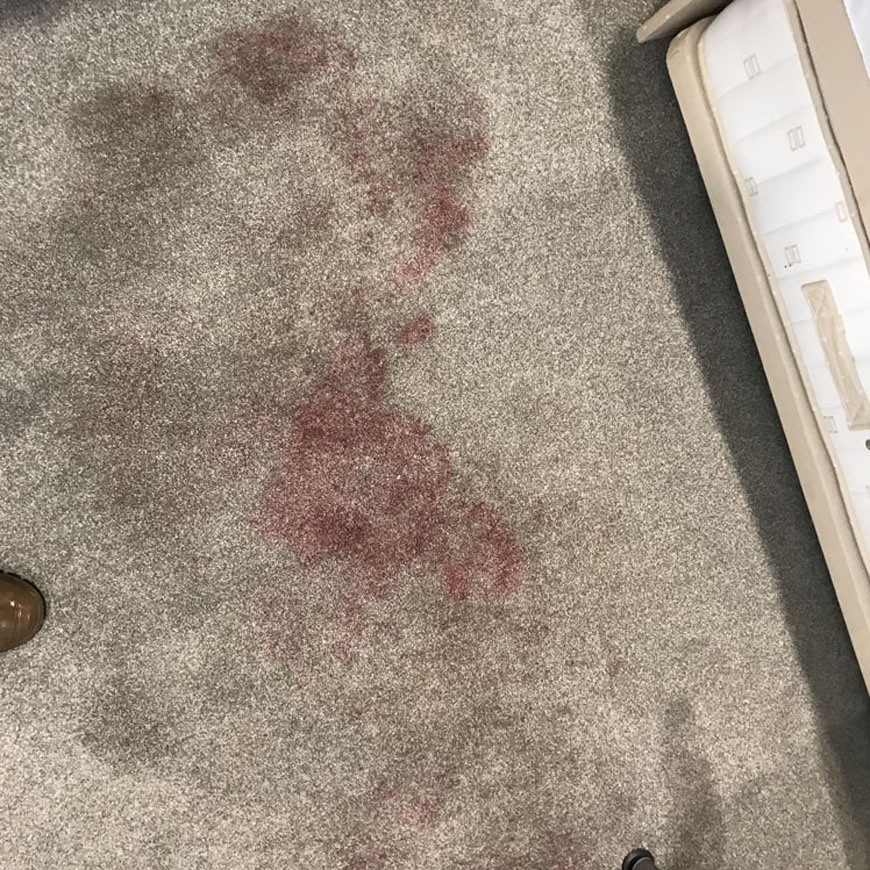 blood stain on beige carpet