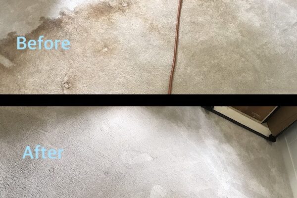Auckland Professional Carpet Cleaner – Flood Restoration