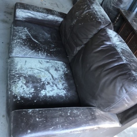 Leather sofa cleaning – Glenfield