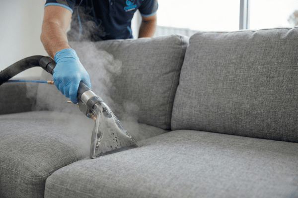 Professional cleaner performing deep upholstery cleaning on a fabric sofa using extraction equipment.