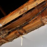A close-up view looking up through a hole in a ceiling. It reveals water-damaged and discolored wooden structural beams, with patches of damp insulation material clinging to them. Several pipes (copper and black plastic) run across the structure. The edges of the remaining light grey ceiling panel show damage and a piece of tape hanging.