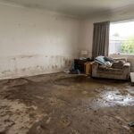 Before carpet flood restoration by Cheers Cleaning — wet damaged carpet restored to clean dry condition